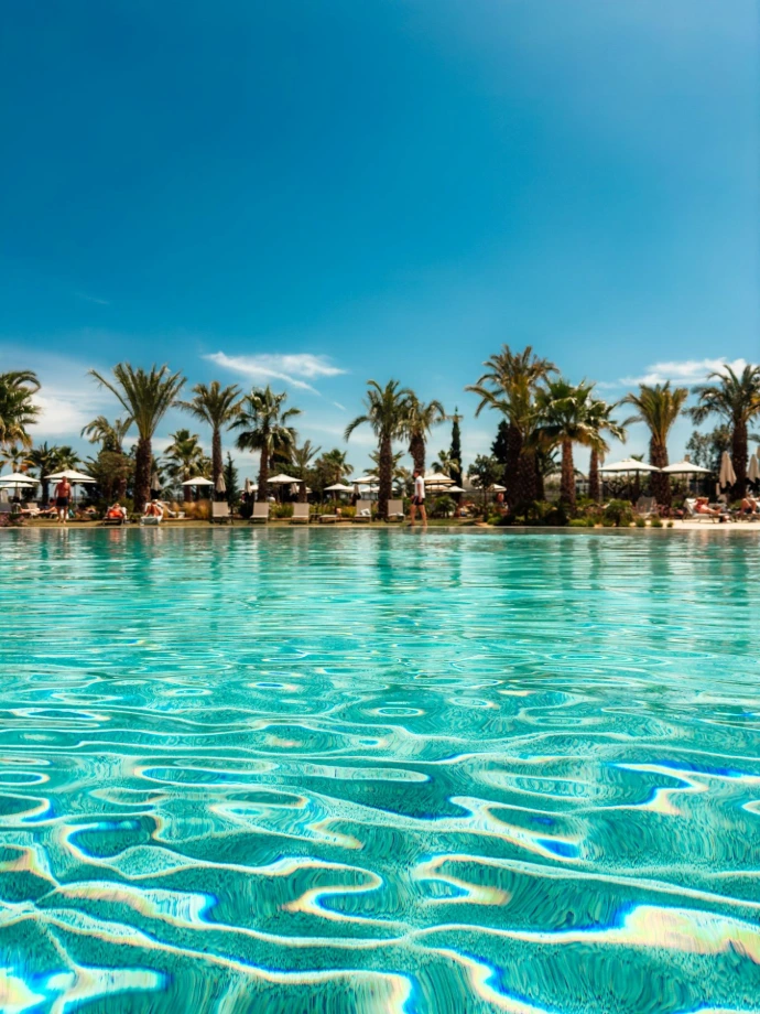 A swimming pool with palm trees in the background