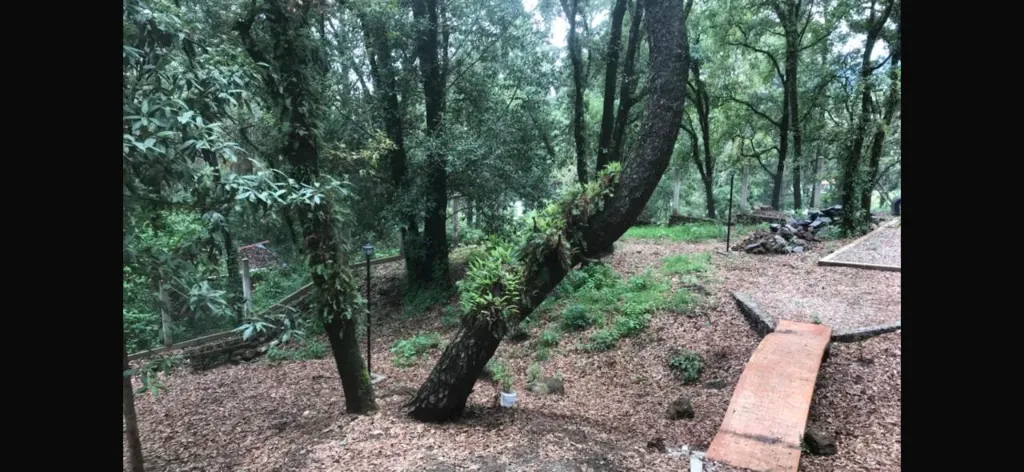 WhatsApp Image 2025-11-14 at 7.04.55 PM (5).webp