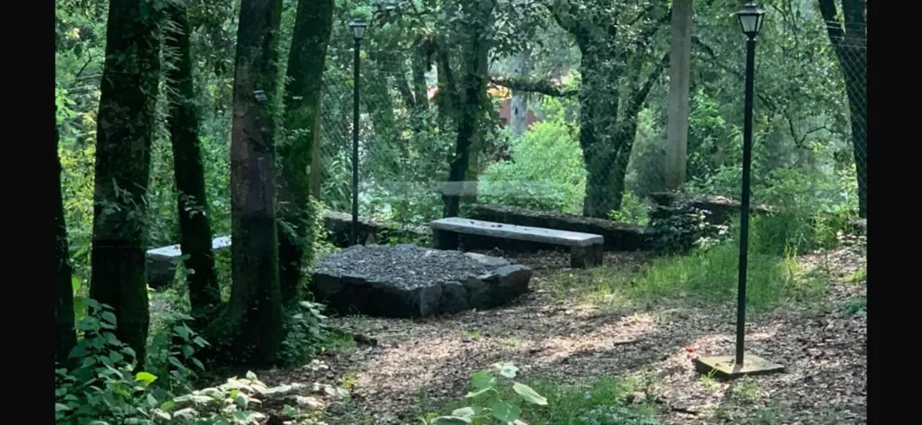 WhatsApp Image 2025-11-14 at 7.04.56 PM (3).webp