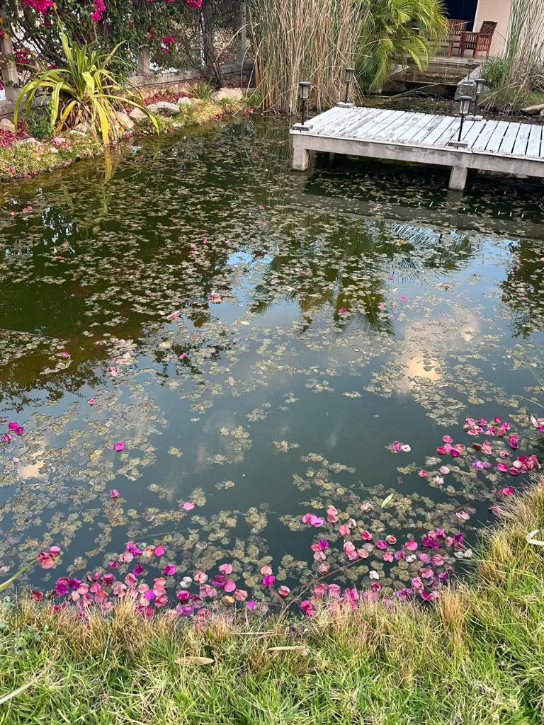 WhatsApp Image 2026-01-03 at 3.43.29 PM.webp