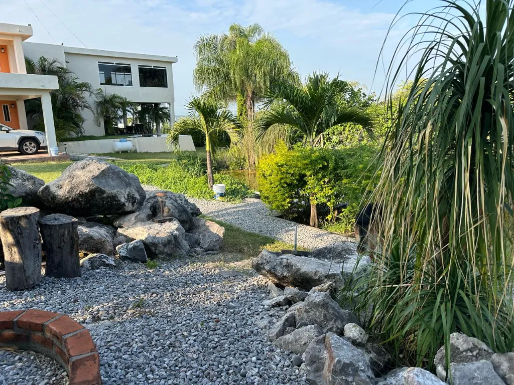 WhatsApp Image 2026-01-03 at 3.43.30 PM.webp