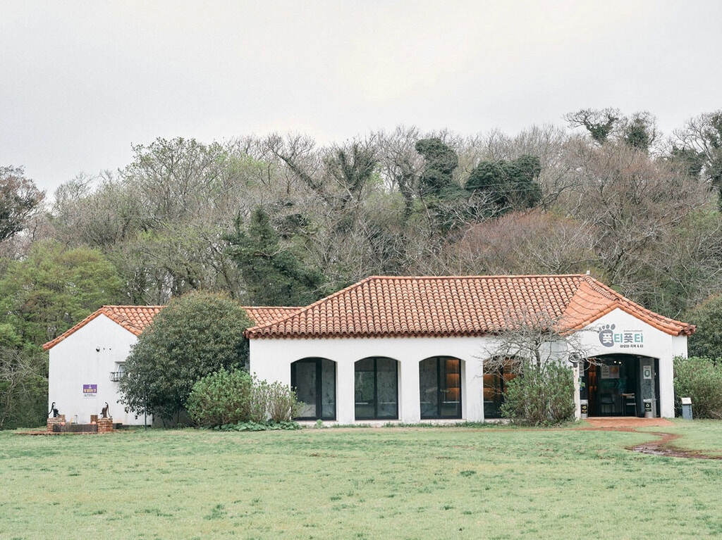 Las 3 increíbles albercas de la casa de Emily